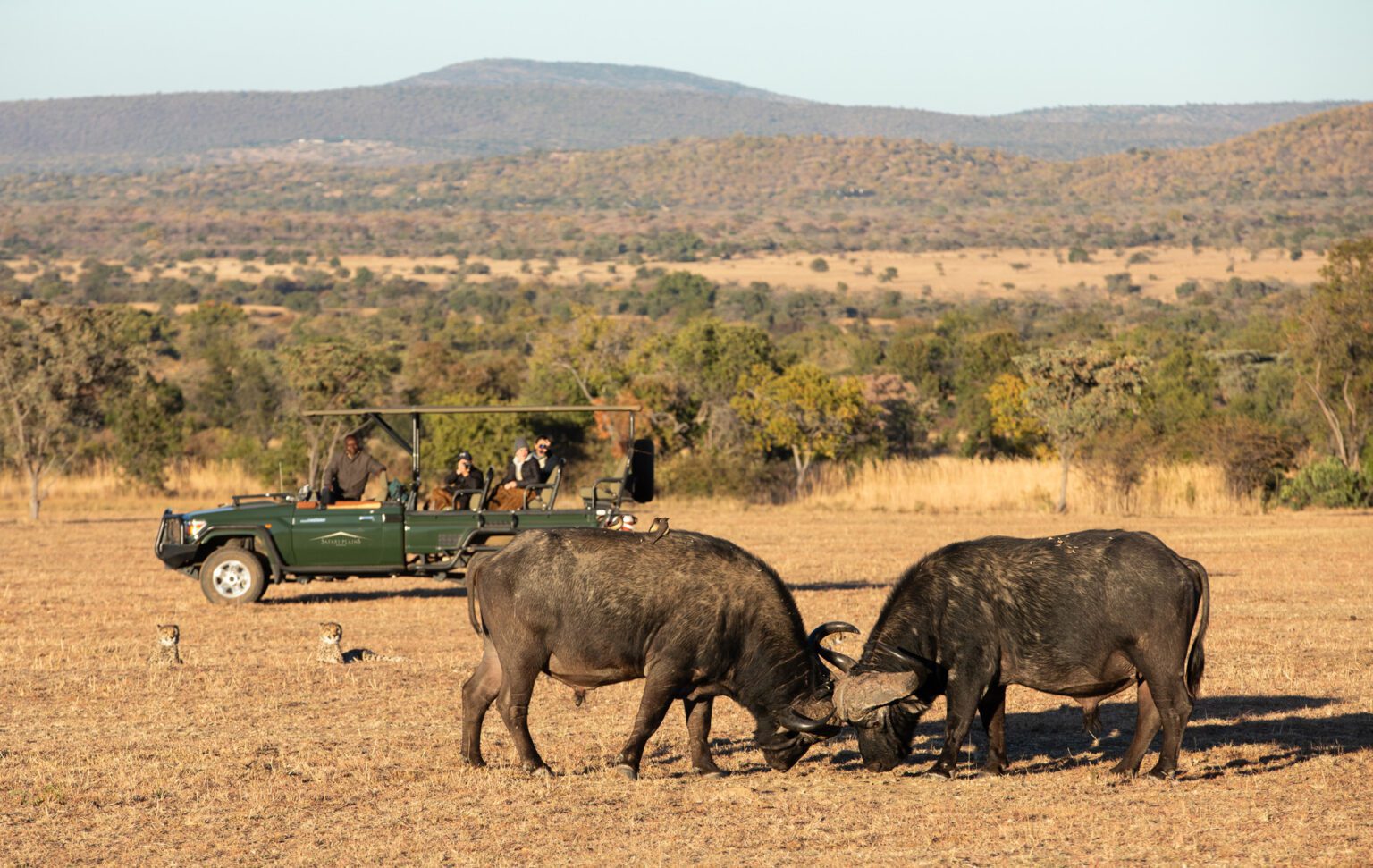safaris-mabula-game-lodge