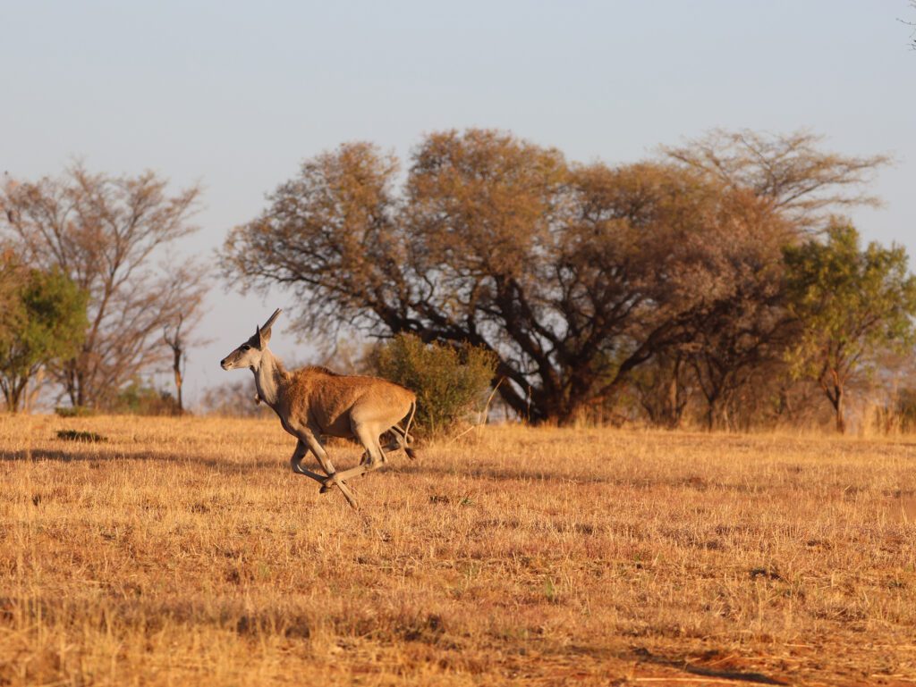 Mabula Newsletter October 2024 040 Mabula Newsletter October 2024 040