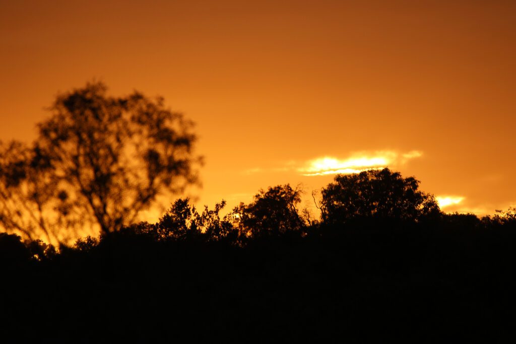 Mabula Game Lodge News August Mabula Game Lodge News August