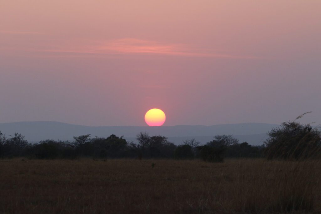 Mabula Game Lodge News August Mabula Game Lodge News August