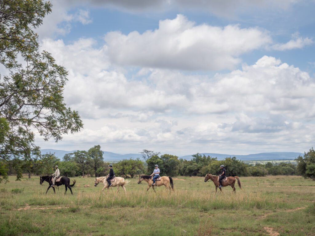 Mabula Game Lodge Horse safari Mabula Game Lodge Horse safari