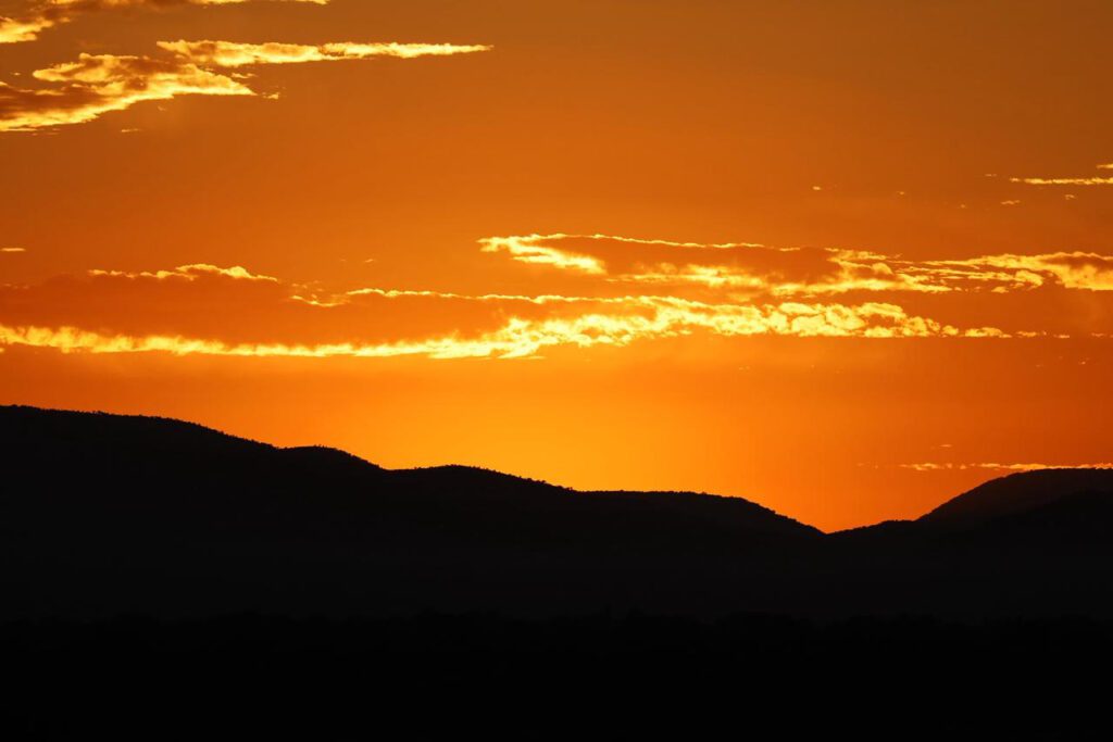 Mabula Game Lodge News Mabula Game Lodge News