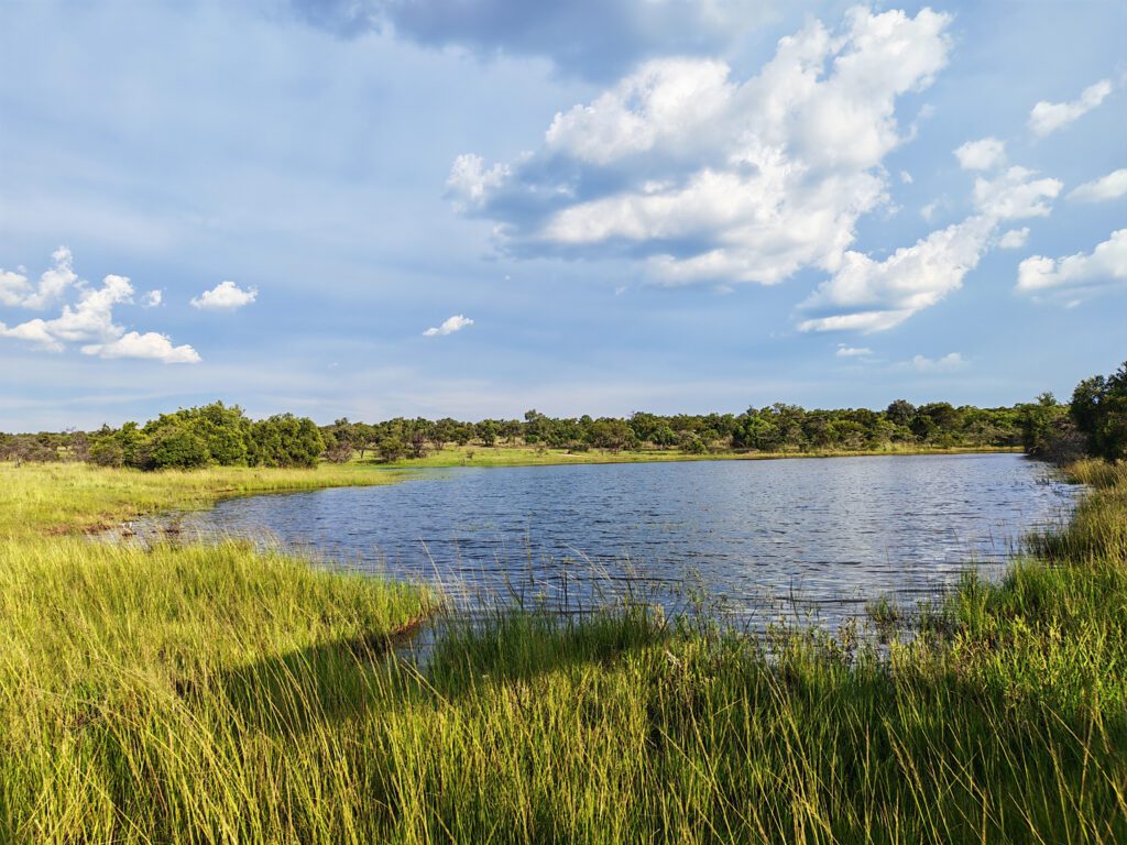 Mabula Game Lodge News Mabula Game Lodge News