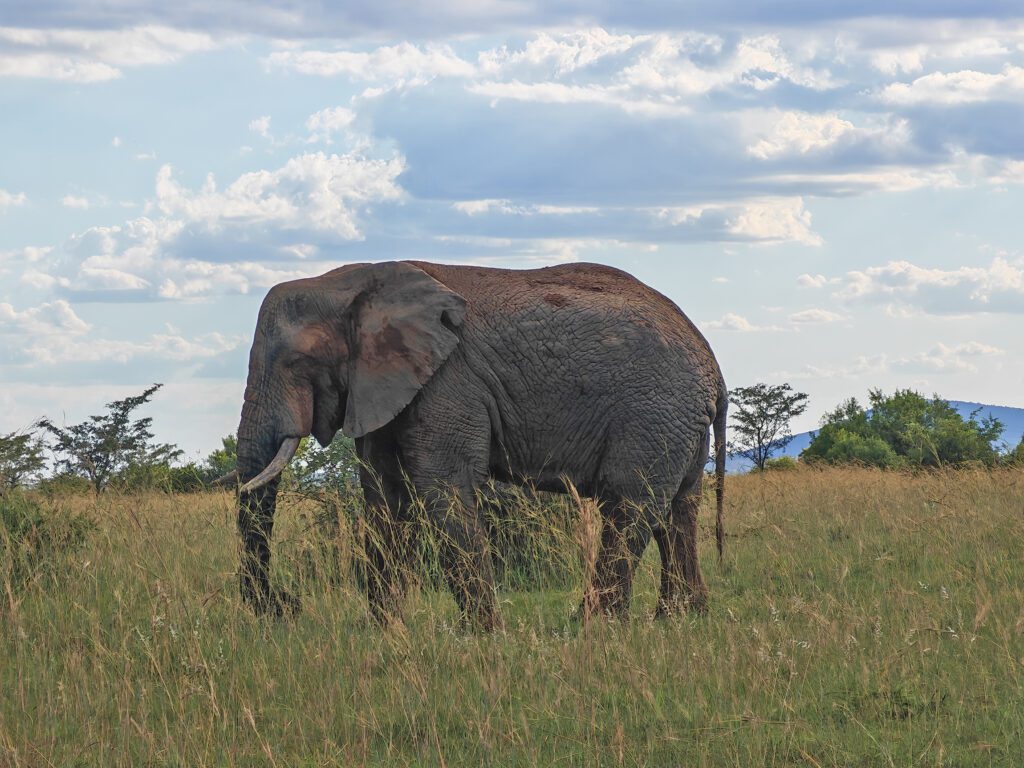 Mabula Game Lodge News Mabula Game Lodge News
