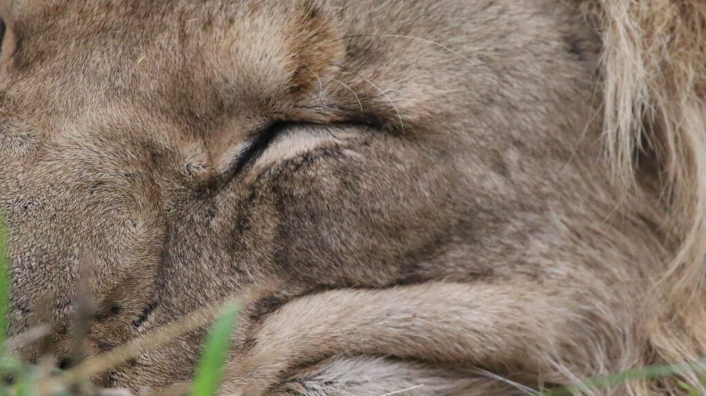Mabula News Mailer Feb Mabula News Mailer Feb