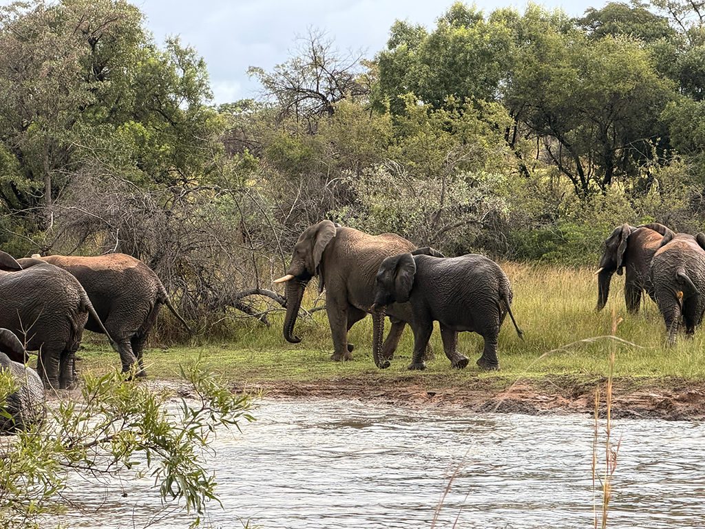 Mabula Newsletter March Mabula Newsletter March