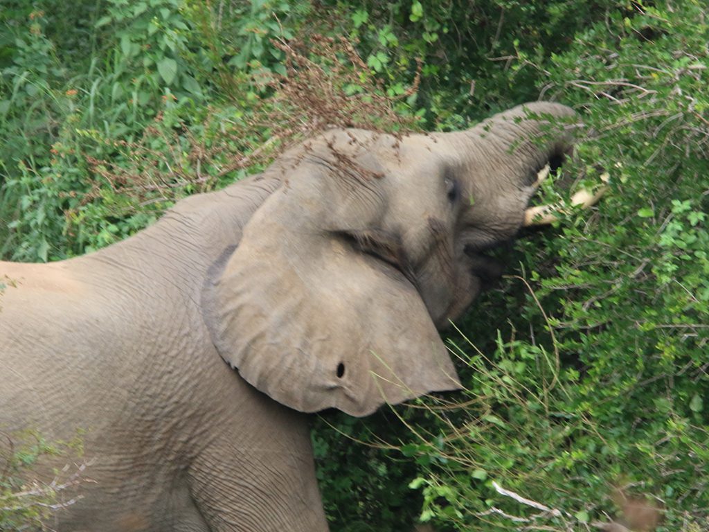 Mabula Newsletter March Mabula Newsletter March