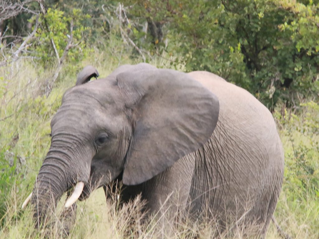 Mabula Newsletter March Mabula Newsletter March