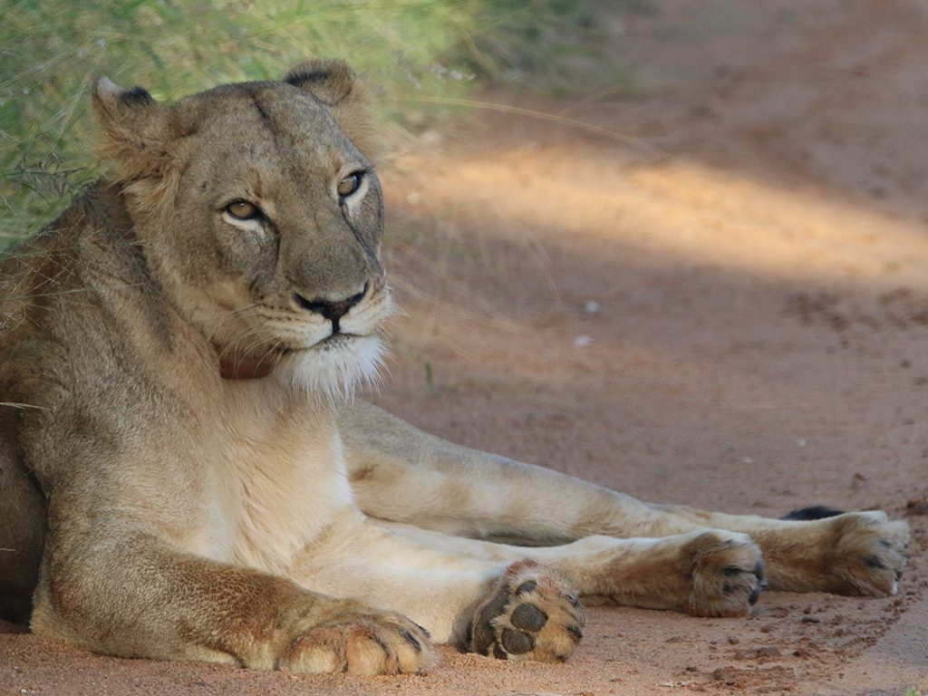 Mabula Newsletter March Mabula Newsletter March