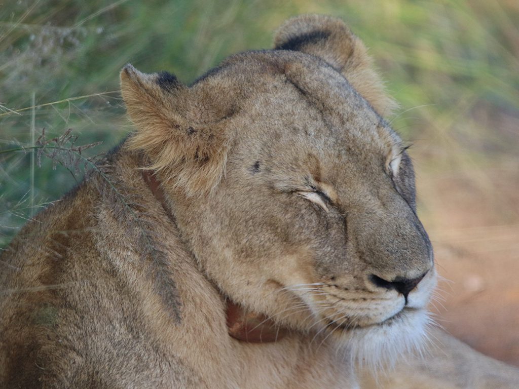 Mabula Newsletter March Mabula Newsletter March