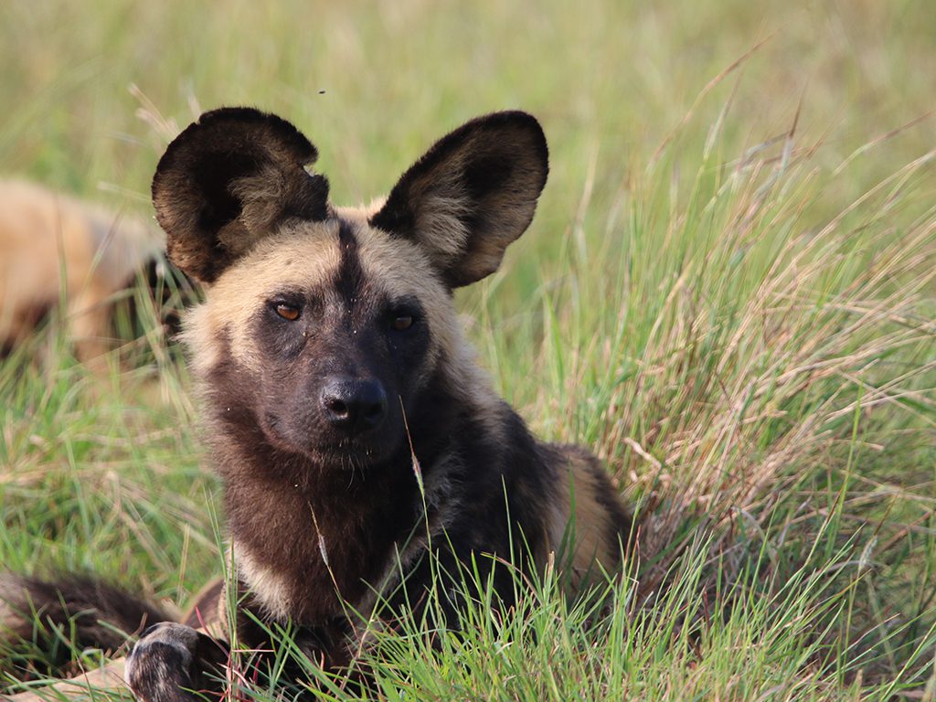 Mabula Newsletter March Mabula Newsletter March