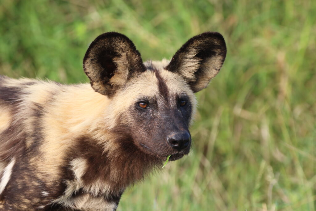 Mabula Newsletter March Mabula Newsletter March