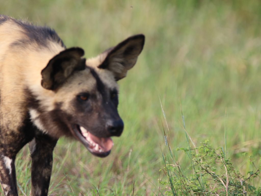 Mabula Newsletter March Mabula Newsletter March