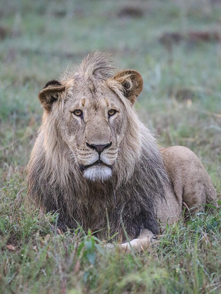 Mabula Newsletter March