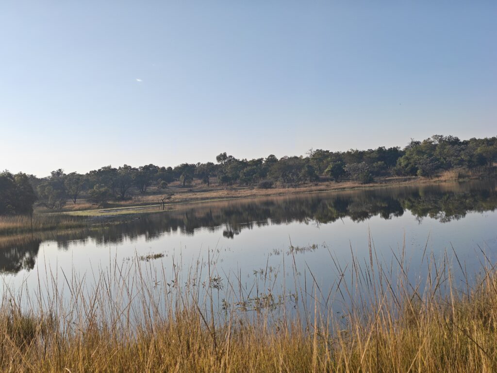 Mabula Guide News July () Mabula Guide News July ()
