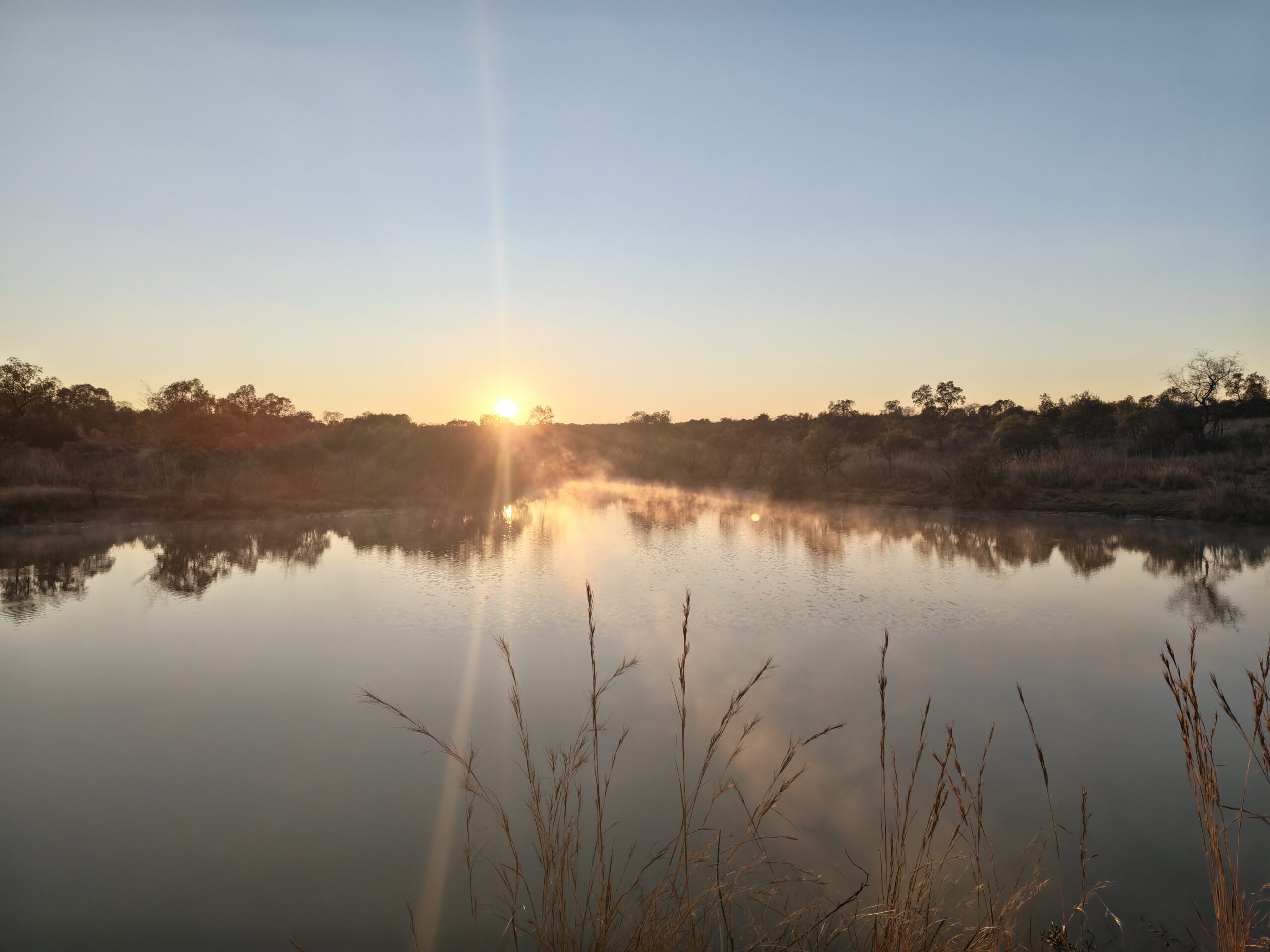 Winter sunrise beside a dam at Mabula Game Reserve